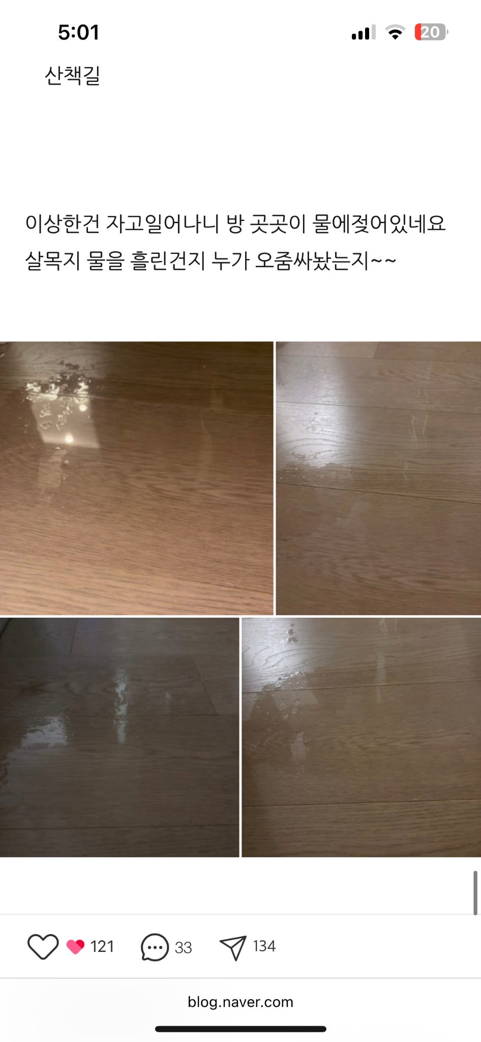 [잡담] 살목지 갔다온 사람 후기 보는데 해맑음에 귀신 질식하겠다 | 인스티즈