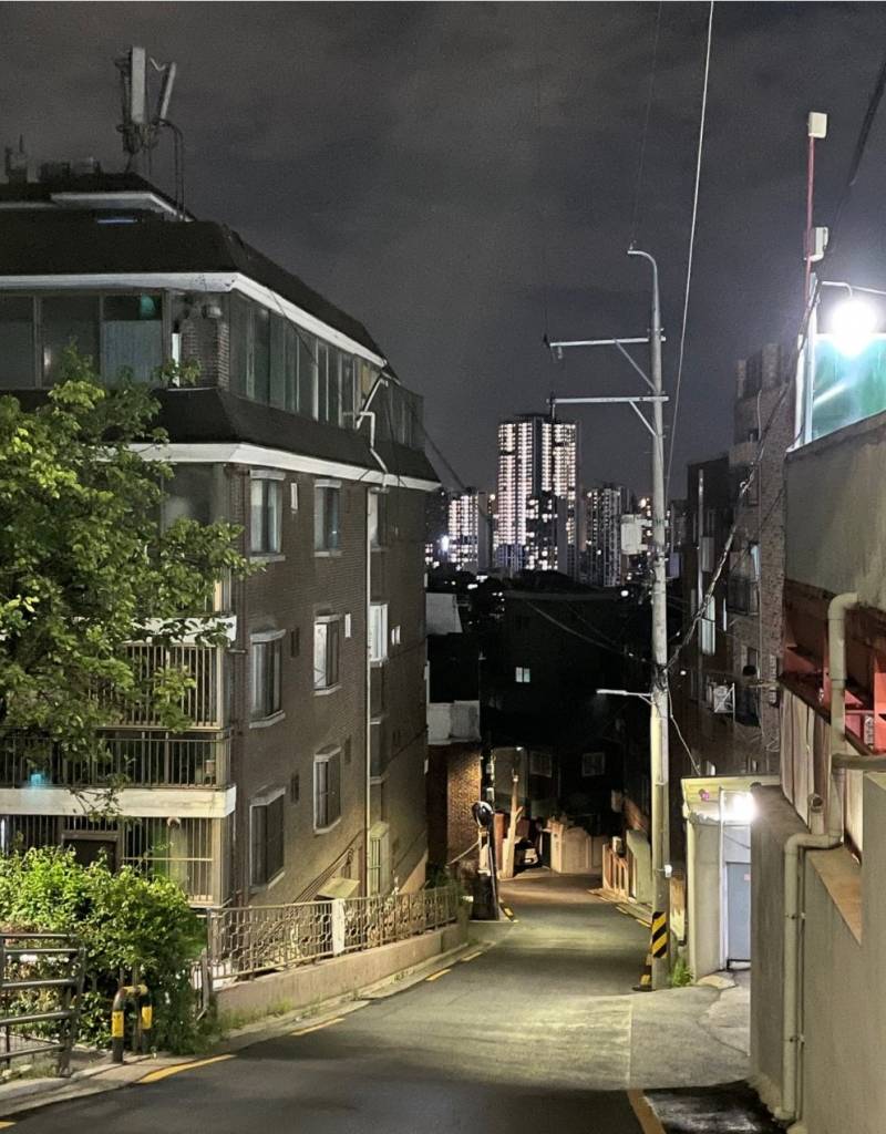 현재 해외반응 난리 난 한국관광 감성..JPG | 인스티즈