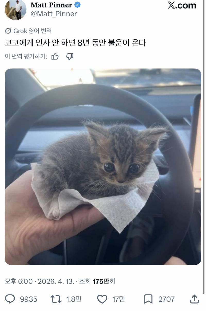 ⚠️코코에게 인사 안 하면 8년 동안 불운이 온다⚠️ | 인스티즈