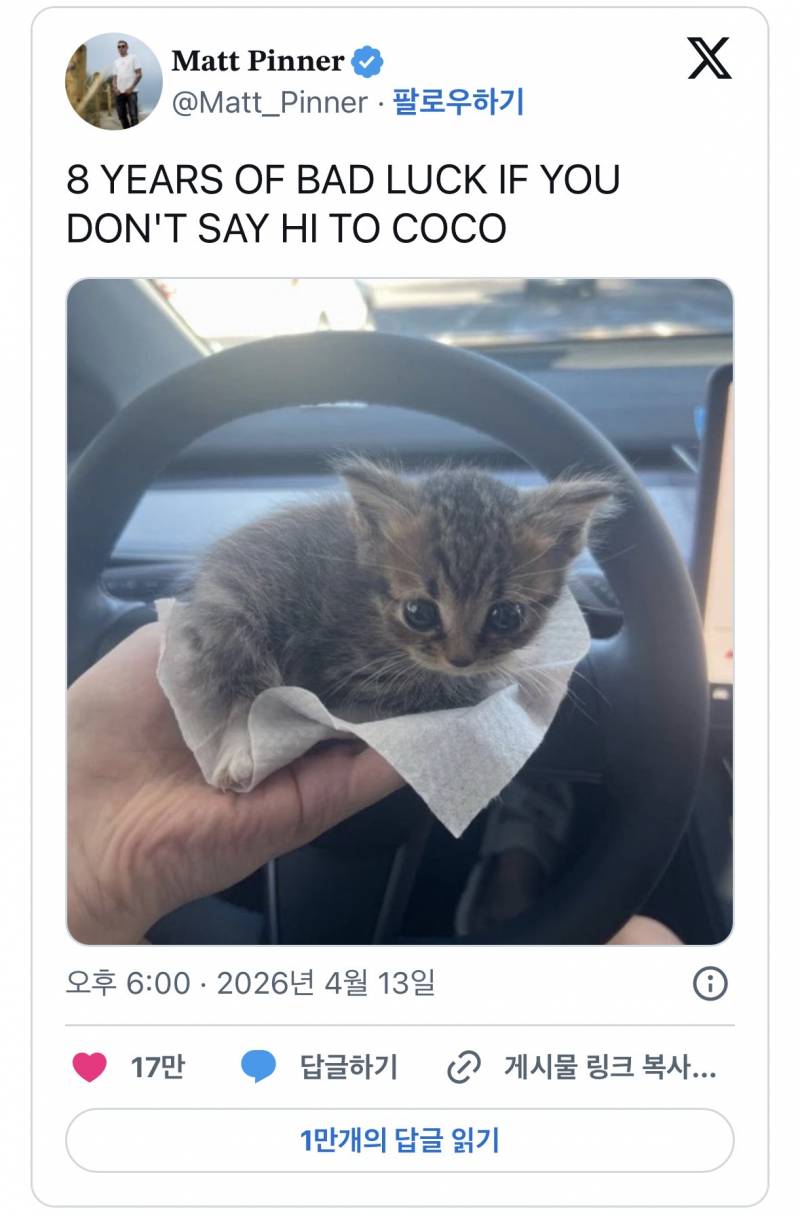 ⚠️코코에게 인사 안 하면 8년 동안 불운이 온다⚠️ | 인스티즈