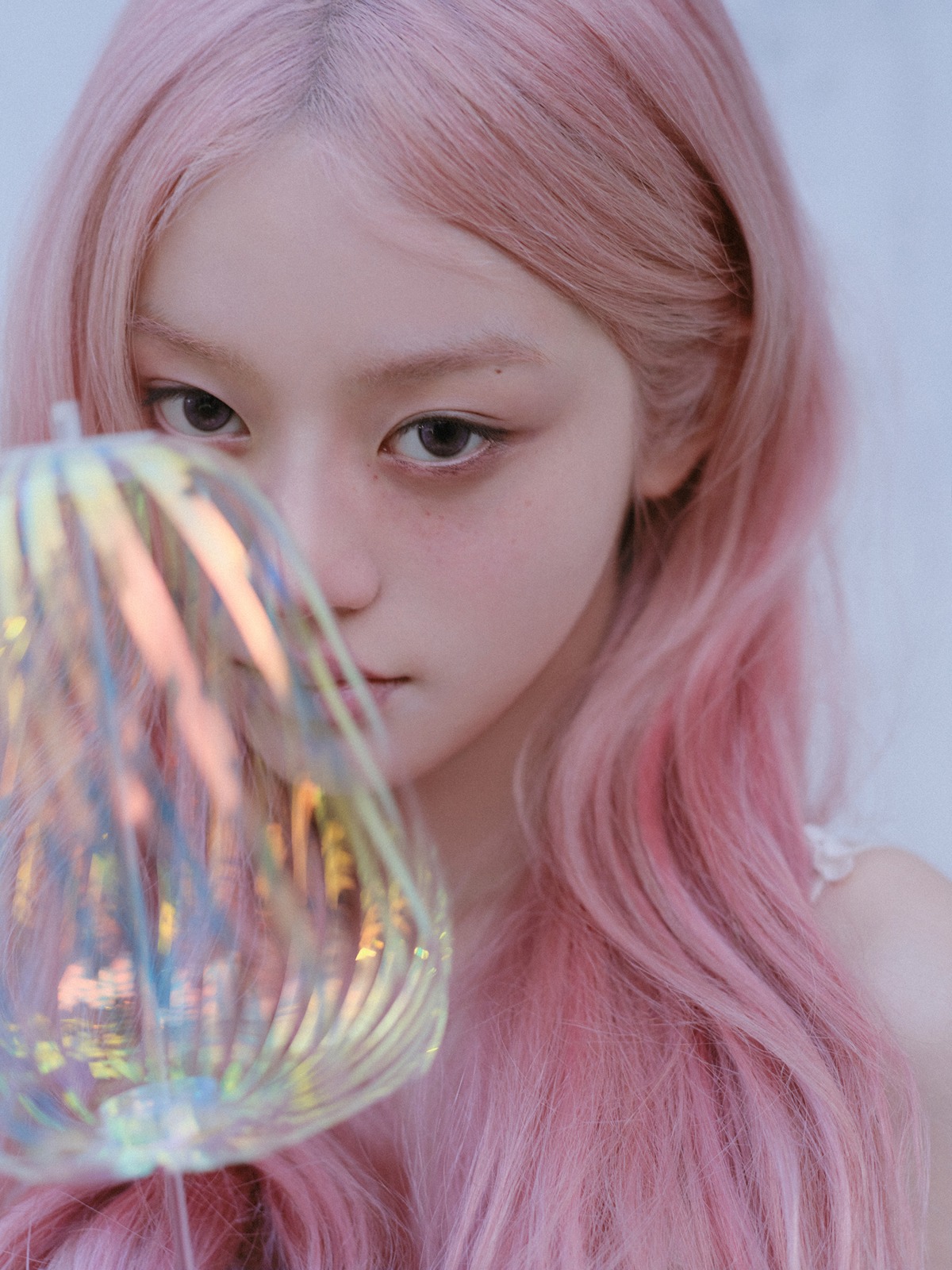 [잡담] 민주 핑머 개잘어울린다 | 인스티즈