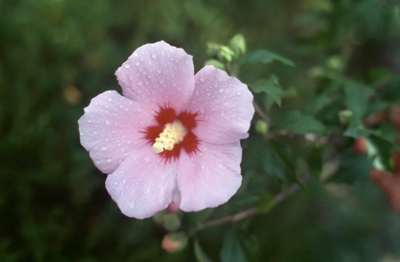 [잡담] 한국의 문화들 | 인스티즈