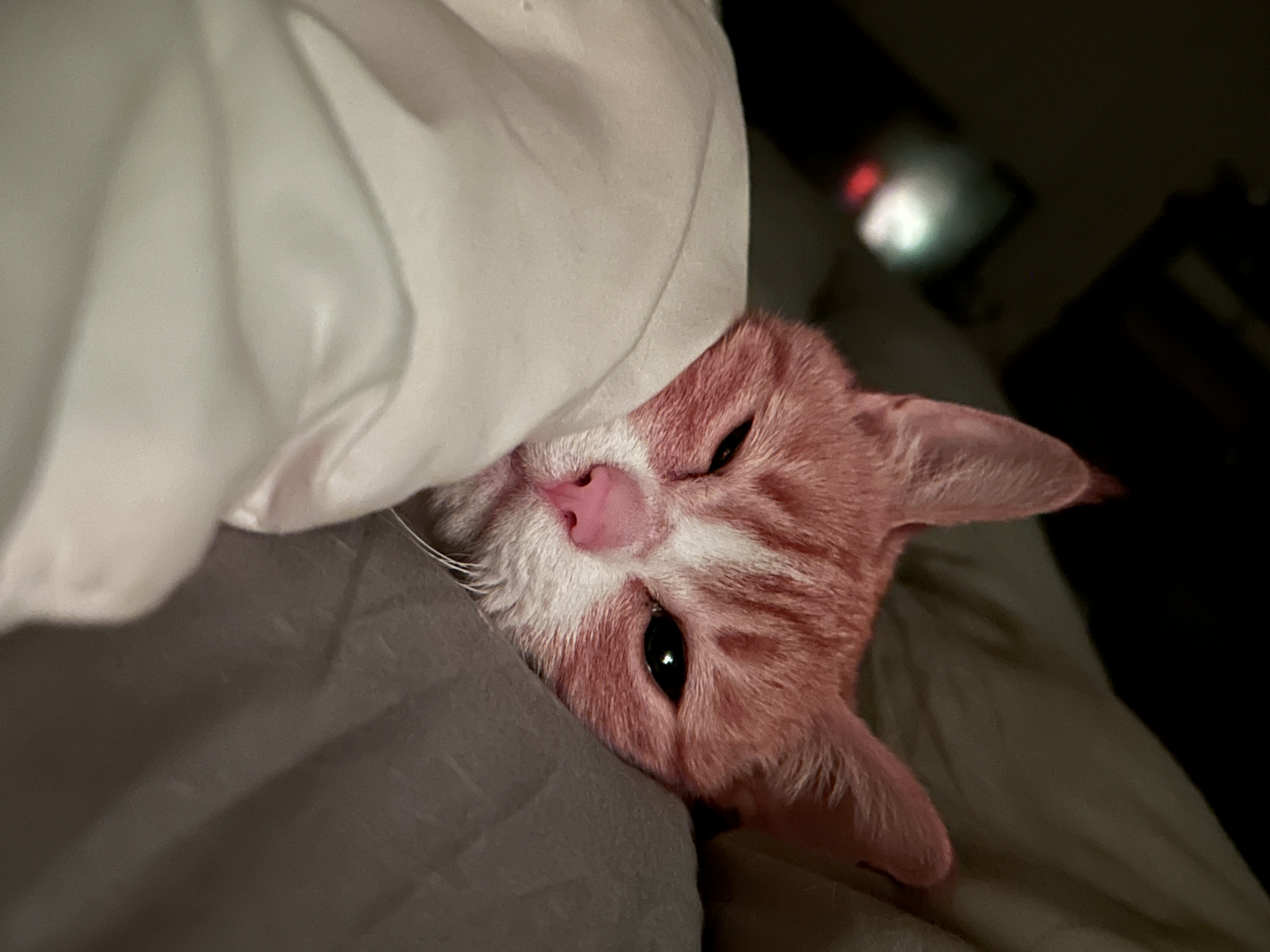 [잡담] 침대에 토퍼 깔았더니 좋은가바 | 인스티즈