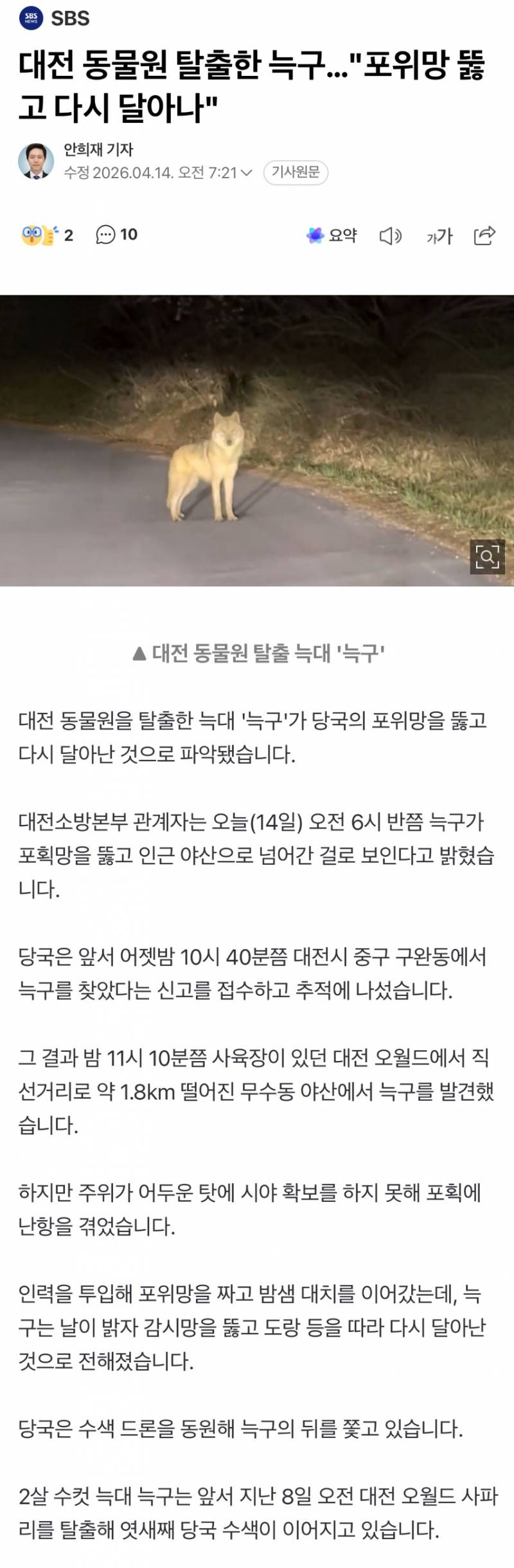 [잡담] [속보] 늑구 포획망 피해 다시 달아나 | 인스티즈