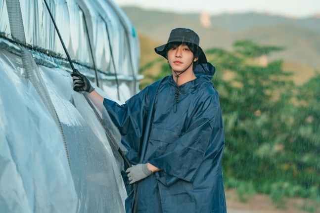 [정보/소식] 오매진) '오늘도 매진' 안효섭 "경운기 운전 재밌어, 내 차라고 생각” | 인스티즈