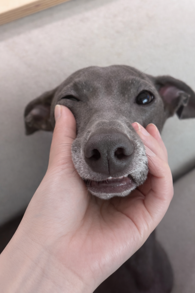 [잡담] 제압! | 인스티즈