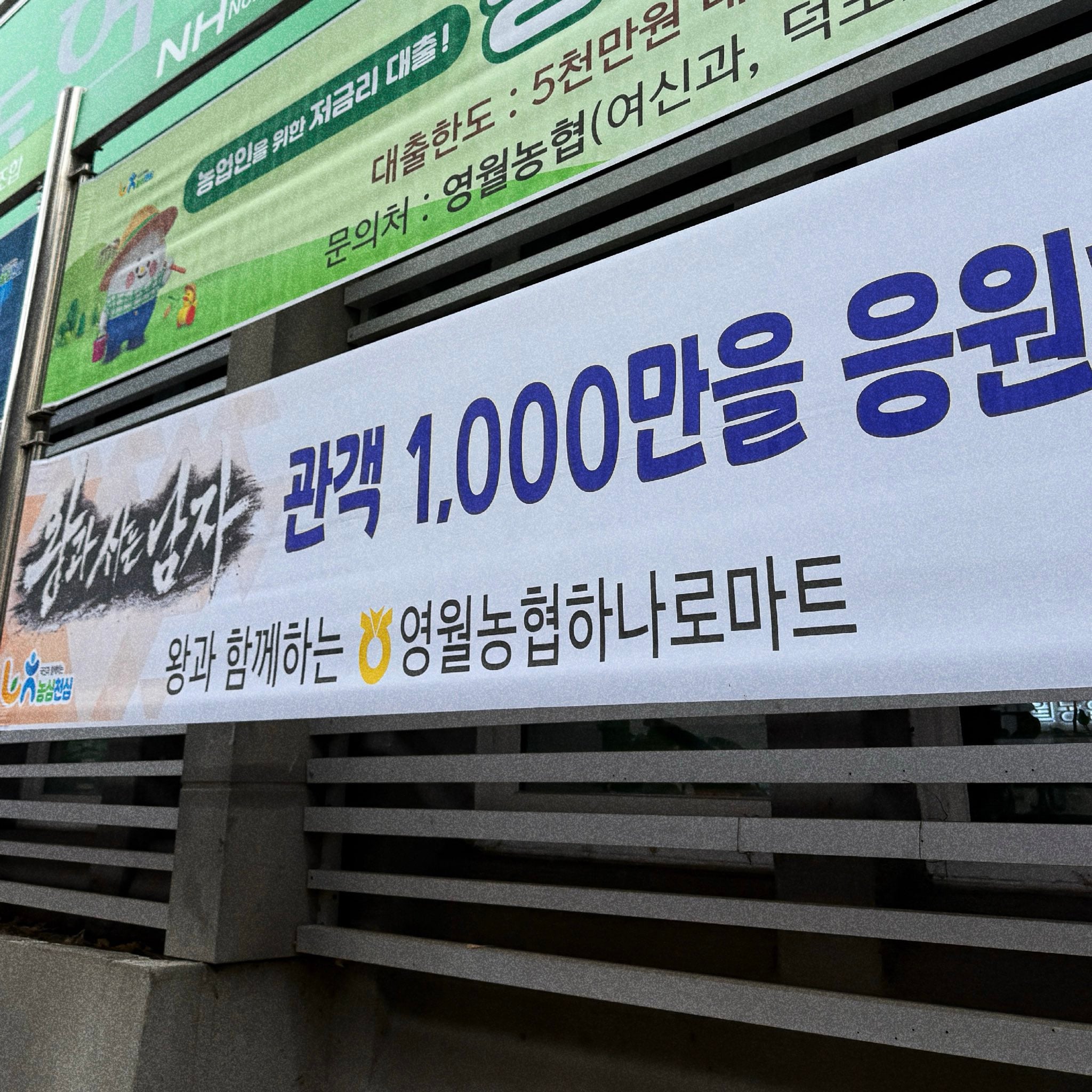 [잡담] 왕사남 보고 요즘 영월가면 감동 심하다는 이유 | 인스티즈