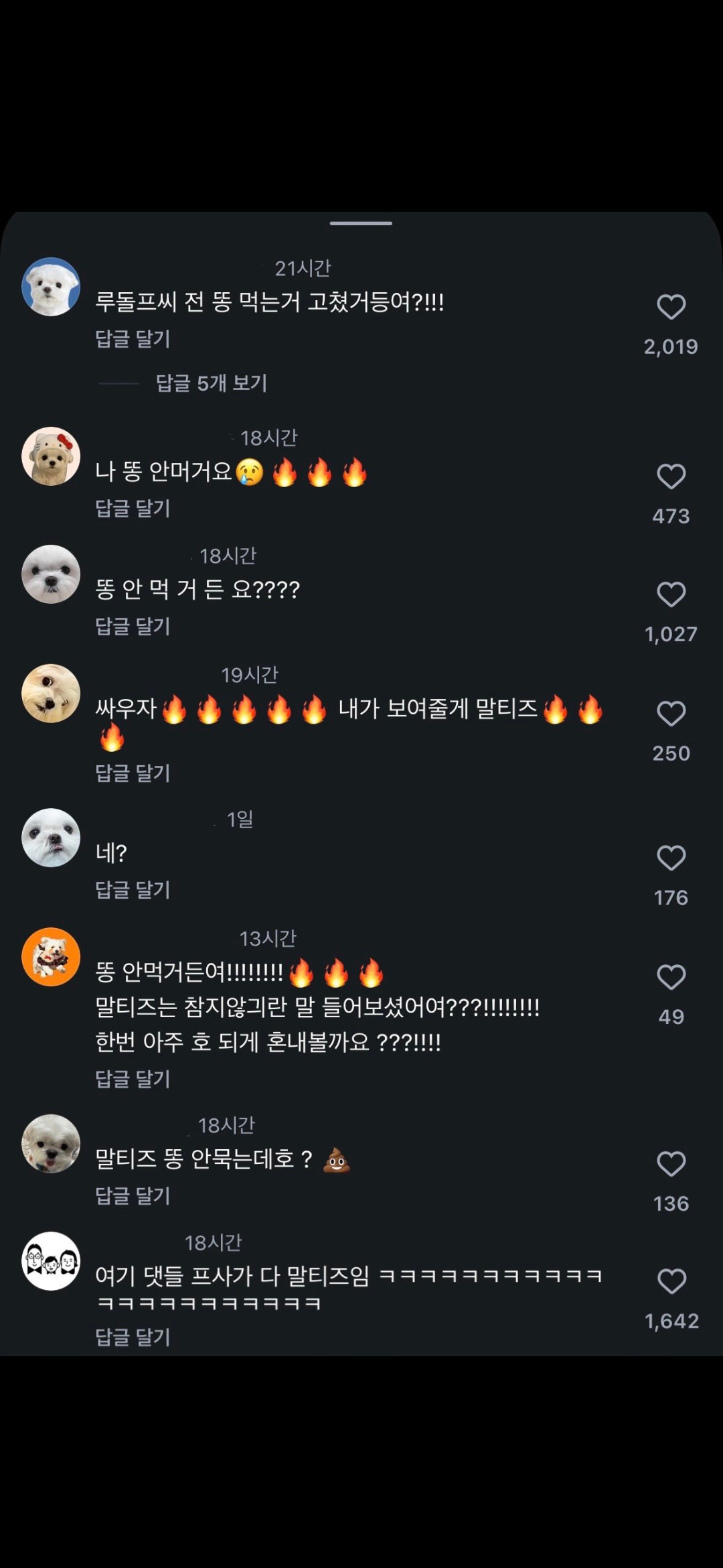 [잡담] 순록이 말티즈 발언 릴스에 말티즈 견주들 다 빡침(ㅋㅋㅋㅋㅋ) 댓글 봐봨ㅋㅋㅋㅋㅋㅋ | 인스티즈