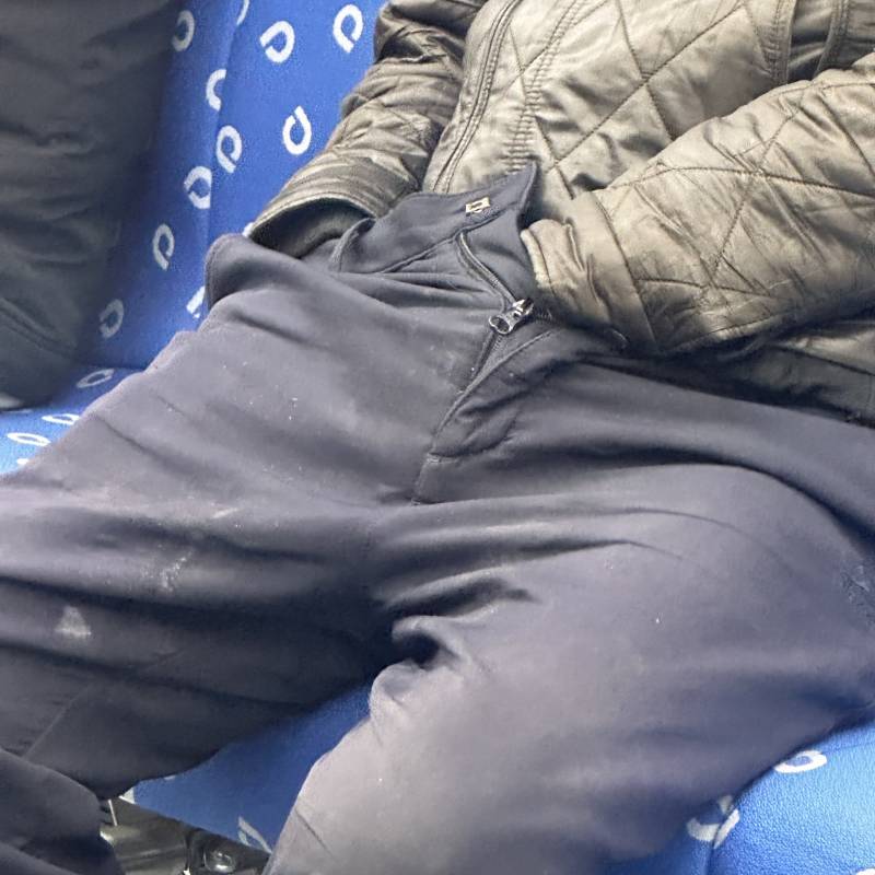 [잡담] 오 부산 1호선도 서울1호선 못지않네(혐오주의) | 인스티즈