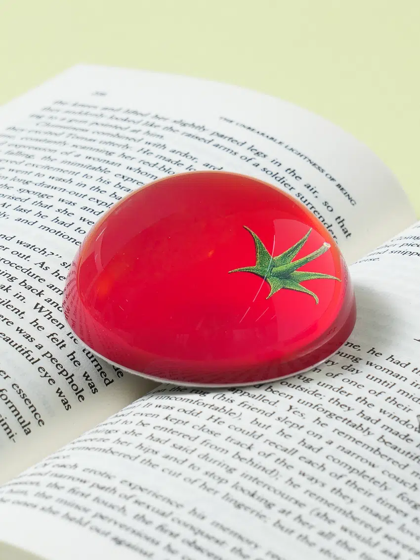 [잡담] 다이소 토마토 문진 귀엽다 | 인스티즈