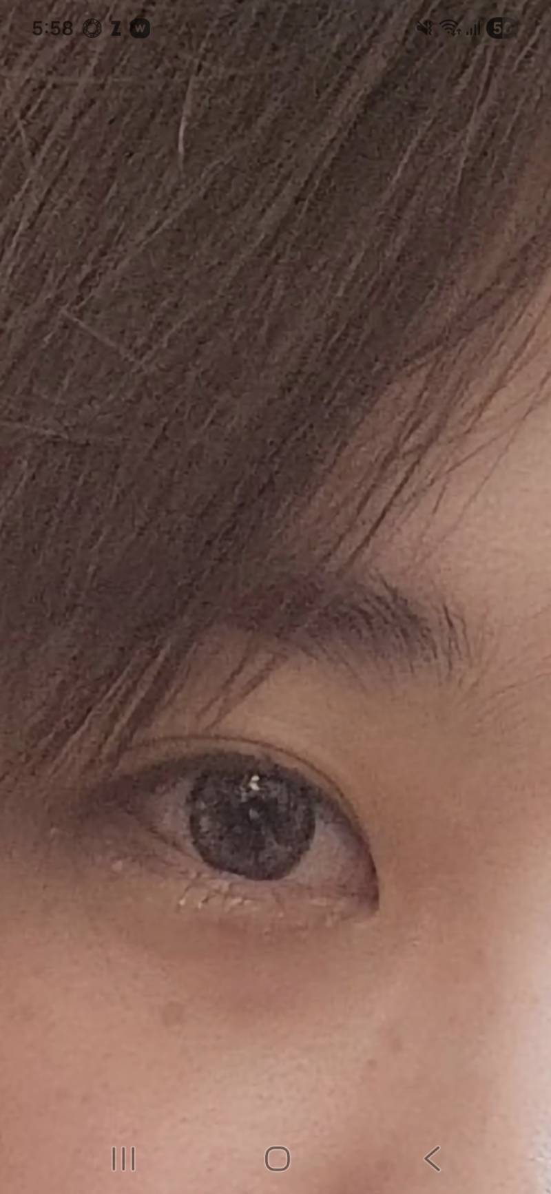 [잡담] 사람하나 살린다치고 들어와주세요!!!!! | 인스티즈