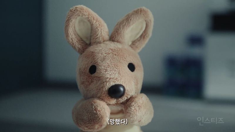 신혜선 캥거루랑 찍은 광고 근황 | 인스티즈