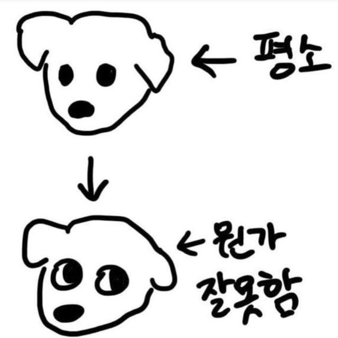 [잡담] 아이유 기 잘 안죽는다고 하던데 안성재 유튜브에서 완전 | 인스티즈