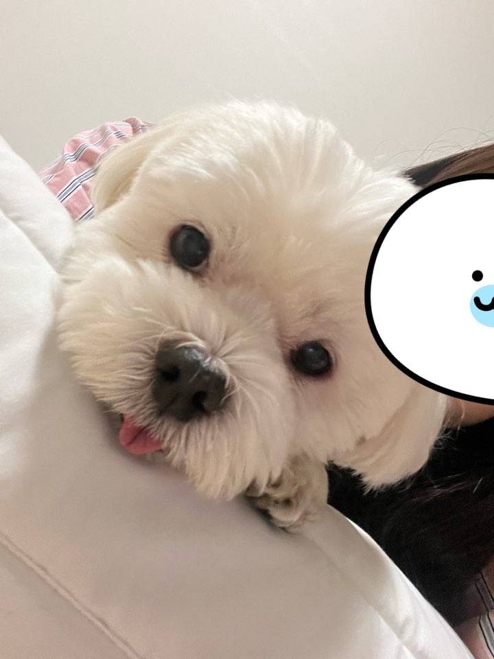 [잡담] 귀요미랑 ㅎㅎ | 인스티즈