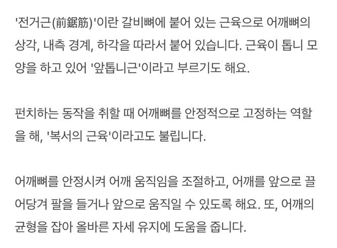 [잡담] 원빈 상어근육 대박이다 | 인스티즈