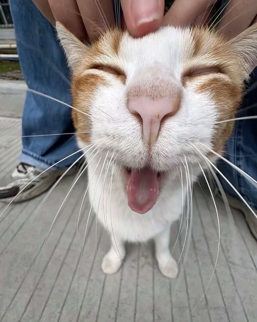 ㄱ [잡담] 오늘 내씨피 떡밥터짐 ㅋㅋ | 인스티즈