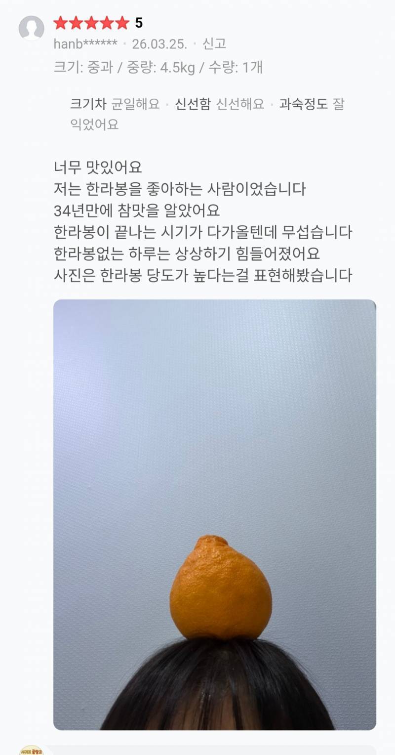 [잡담] 이 짤 어디인지아는사람?? 과일리뷰짤임 | 인스티즈