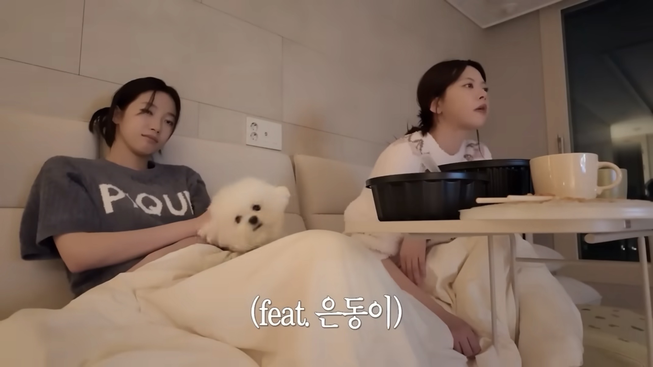 [잡담] 은채네 강아지 겁나 귀엽다 .... 브이로그 보는데 | 인스티즈