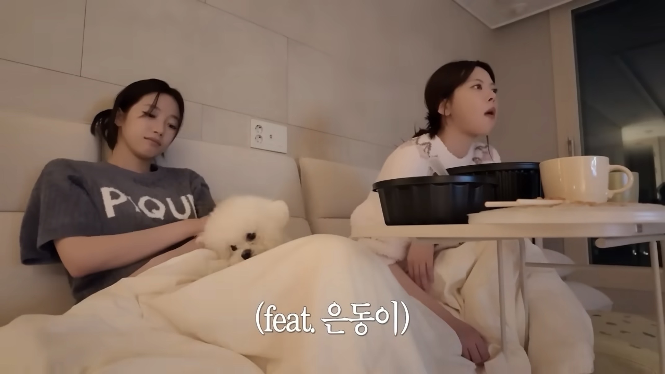 [잡담] 은채네 강아지 겁나 귀엽다 .... 브이로그 보는데 | 인스티즈
