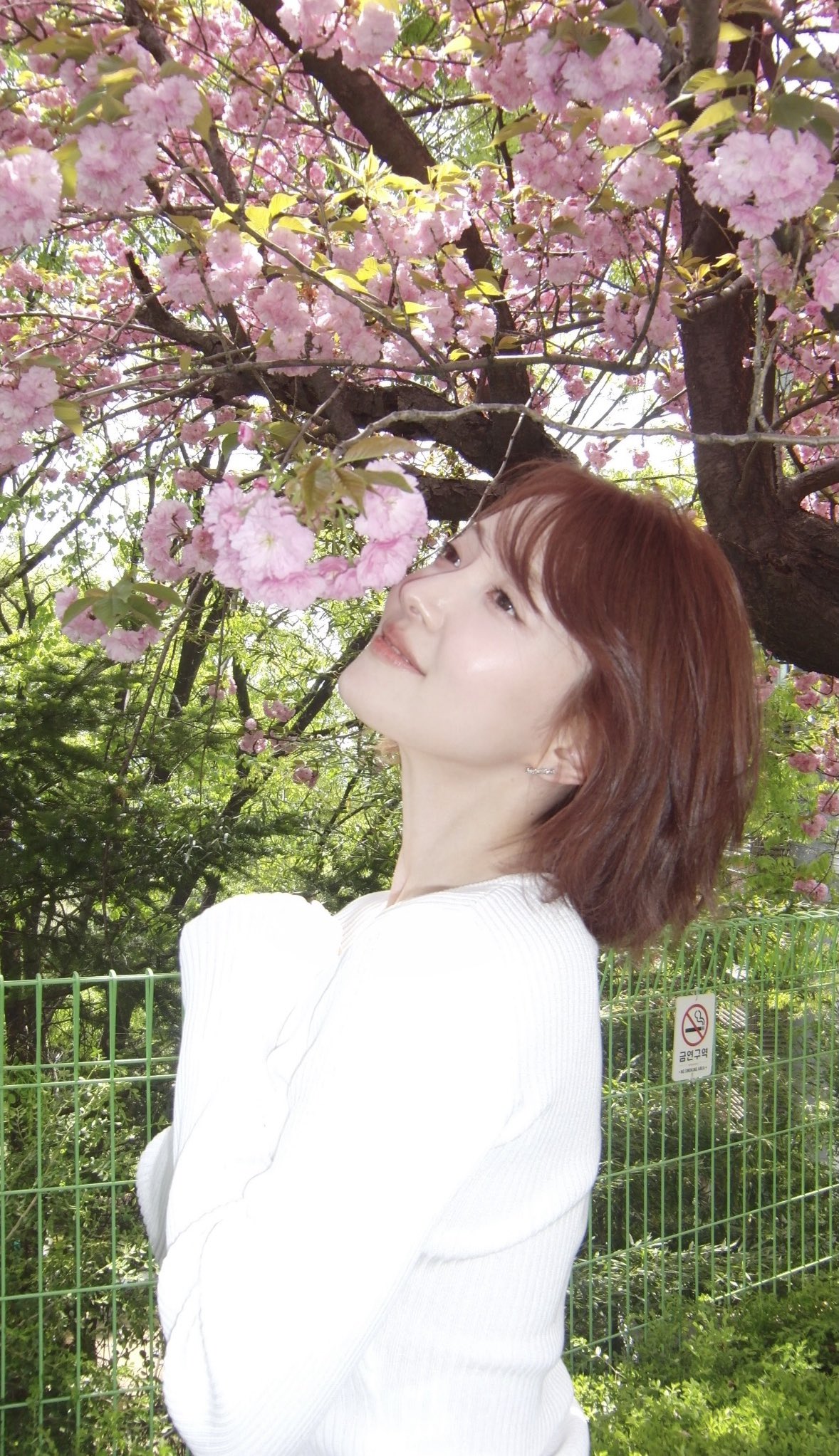 [잡담] 와 이세영 요즘 너무 이쁨 | 인스티즈