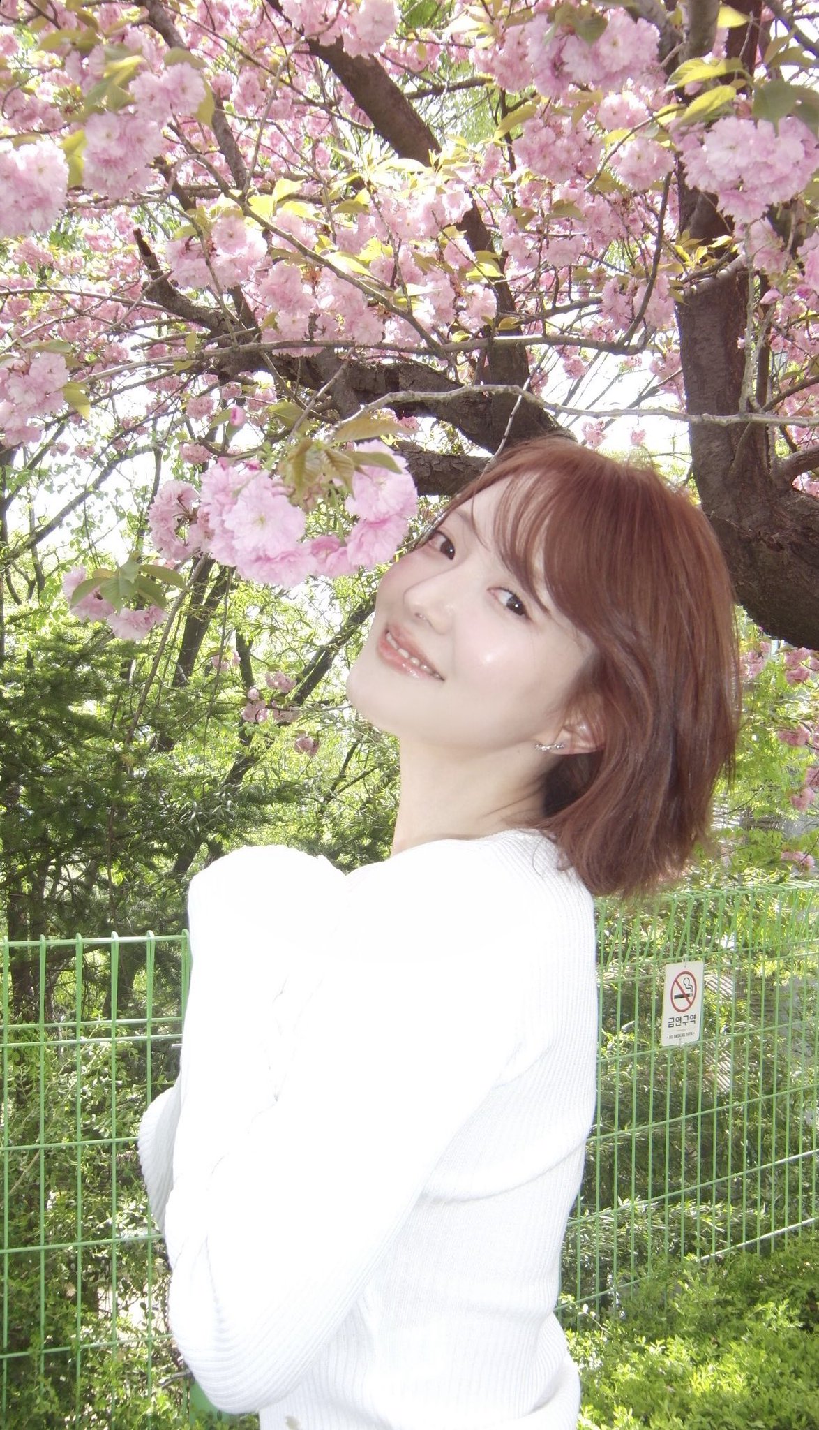 [잡담] 와 이세영 요즘 너무 이쁨 | 인스티즈