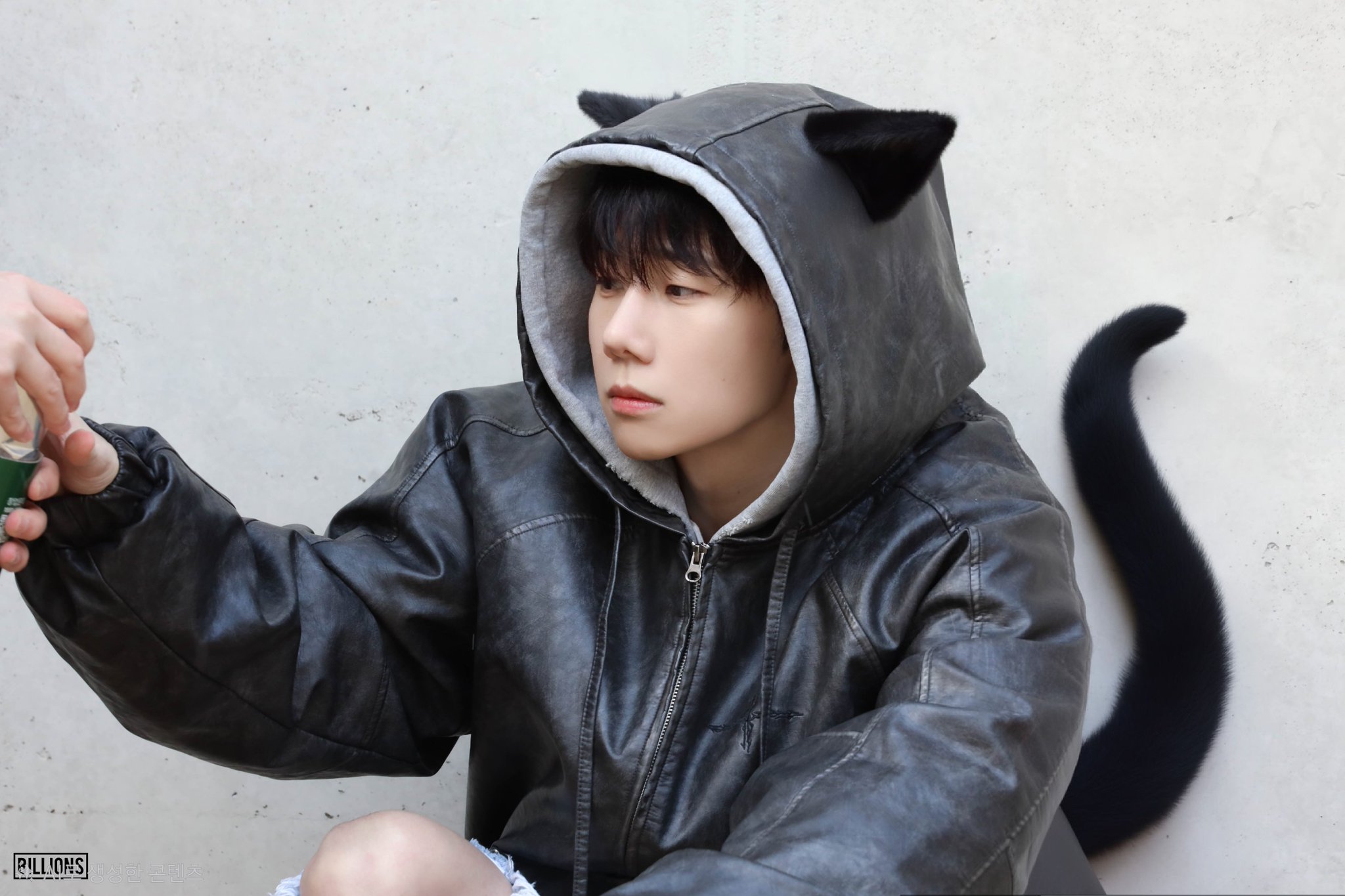 [잡담] 강아지 성규 / 고양이 성규 | 인스티즈