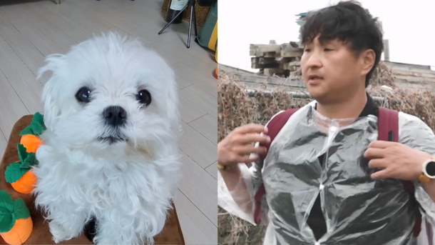 [잡담] 헐 구성환 살빠진거봐..ㄷㄷ 꽃분이가고 진짜 힘들었나봄.. | 인스티즈