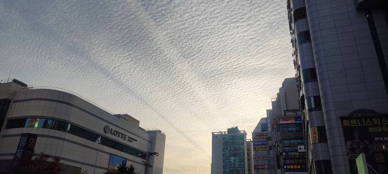 [잡담] 구름이 양털 같아서 찍었어 | 인스티즈