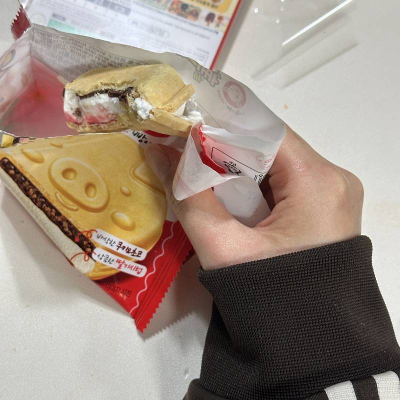 [잡담] 돼지빵 맛잇다......... | 인스티즈