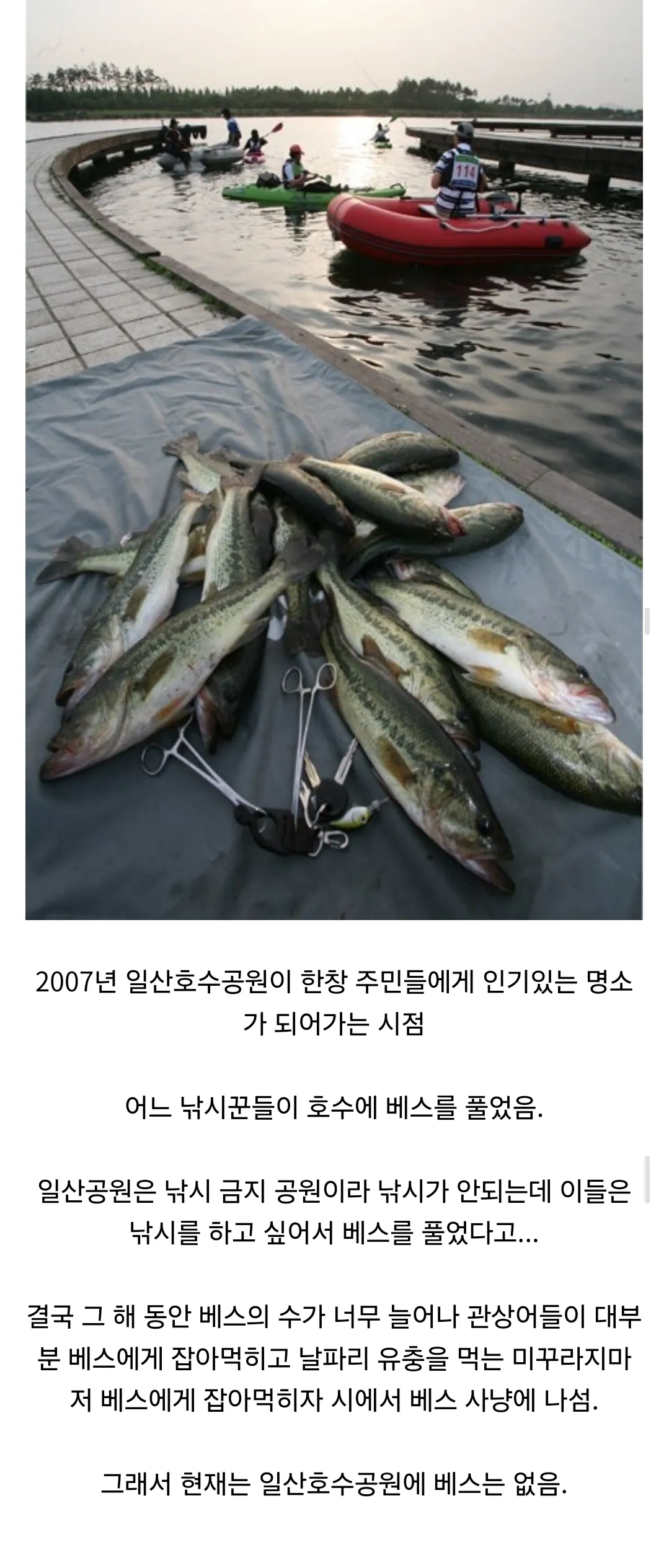 낚시에 미친 사람들이 일산호수공원에 벌인 짓.jpg | 인스티즈