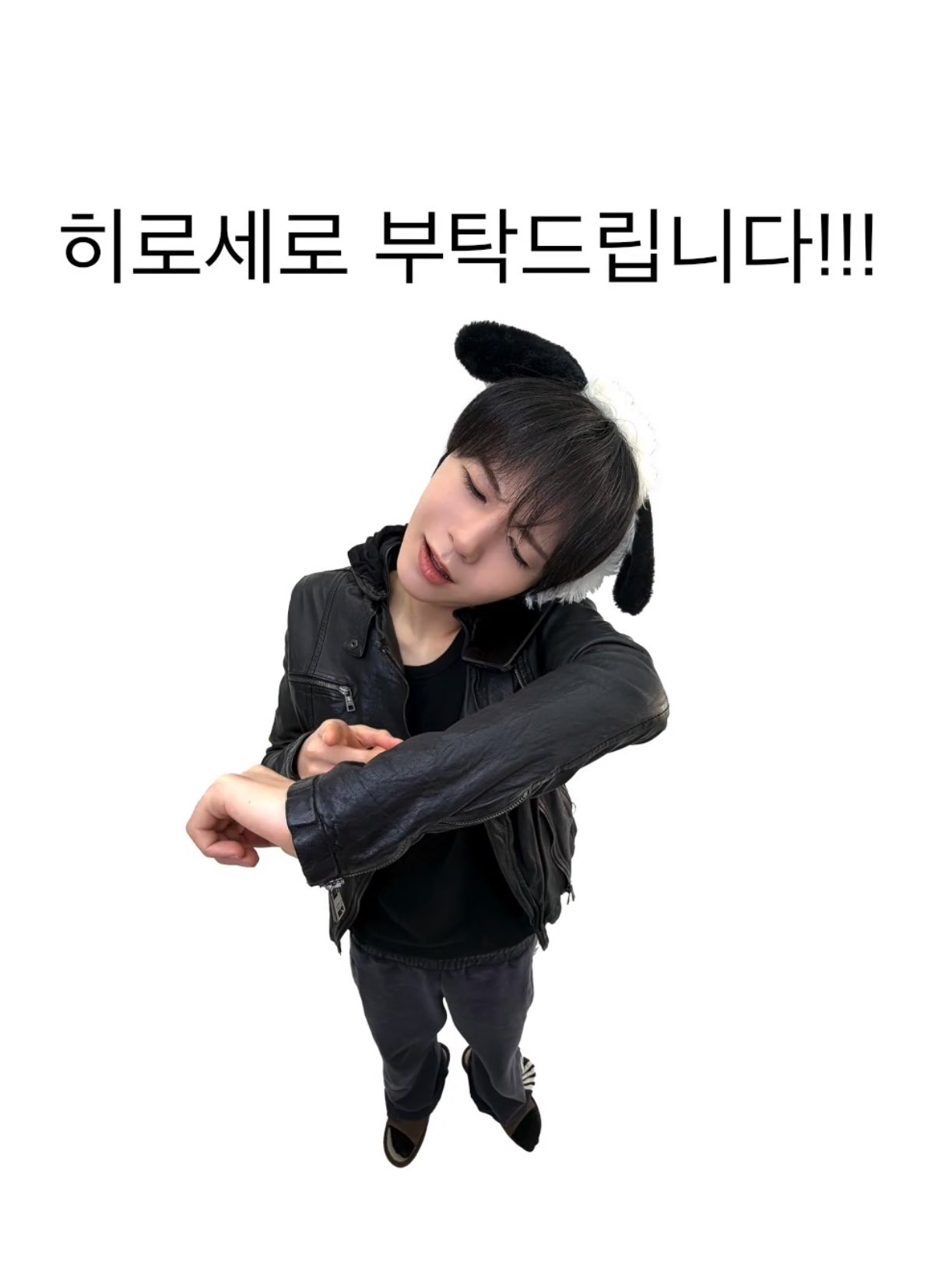 [잡담] 도베르만이랑 늑대사이에 말티즈 | 인스티즈