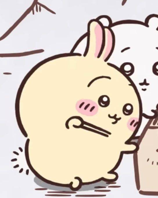 [잡담] 우사기 살크업 🤔 | 인스티즈