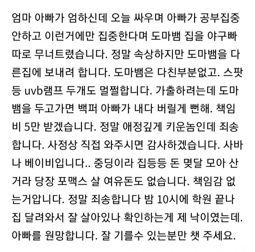 도마뱀 분양글을 올린 중학생.jpg | 인스티즈
