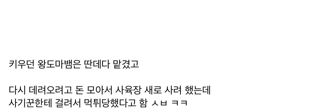 도마뱀 분양글을 올린 중학생.jpg | 인스티즈