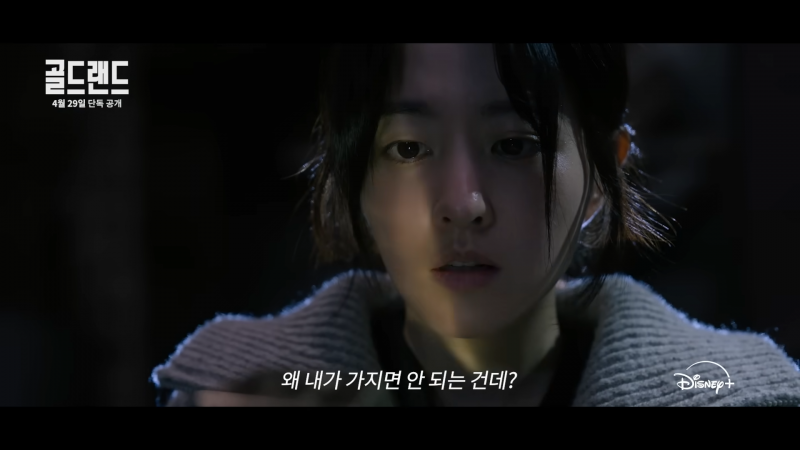 신고하고 포상금 받기 vs 가져가고 인생 역전 노리기 | 인스티즈
