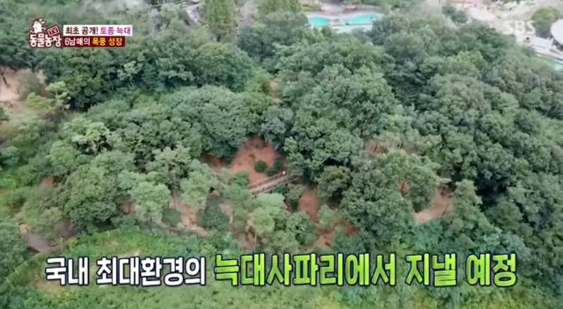 사람들의 예상을 벗어난 늑구 본가 | 인스티즈