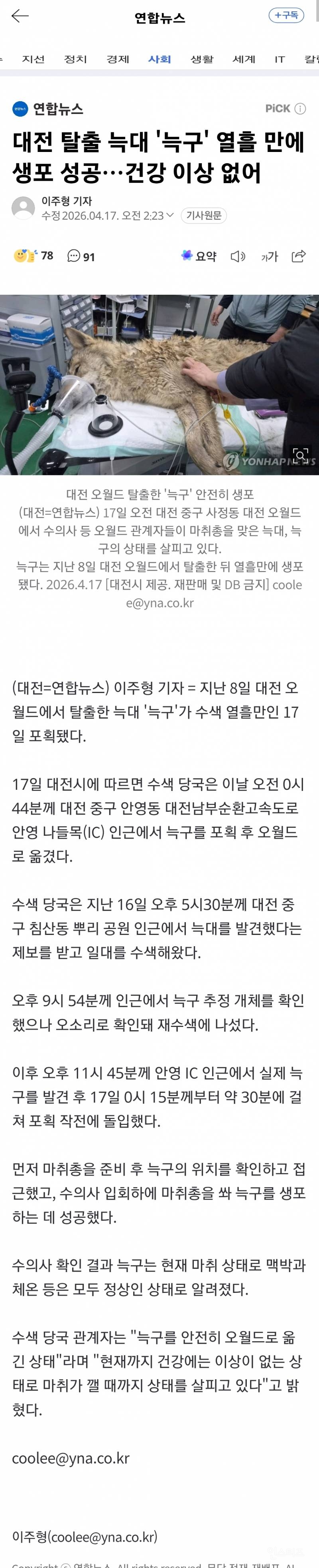 🚨[속보] 대전 탈출 늑대 '늑구' 열흘 만에 생포 성공…건강 이상 없어 | 인스티즈
