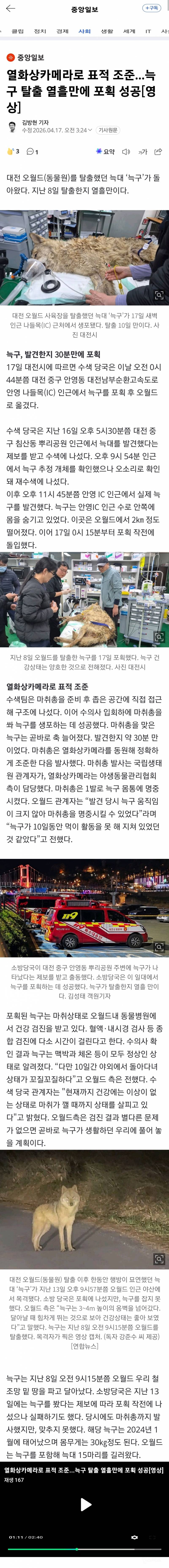 🚨[속보] 대전 탈출 늑대 '늑구' 열흘 만에 생포 성공…건강 이상 없어 | 인스티즈