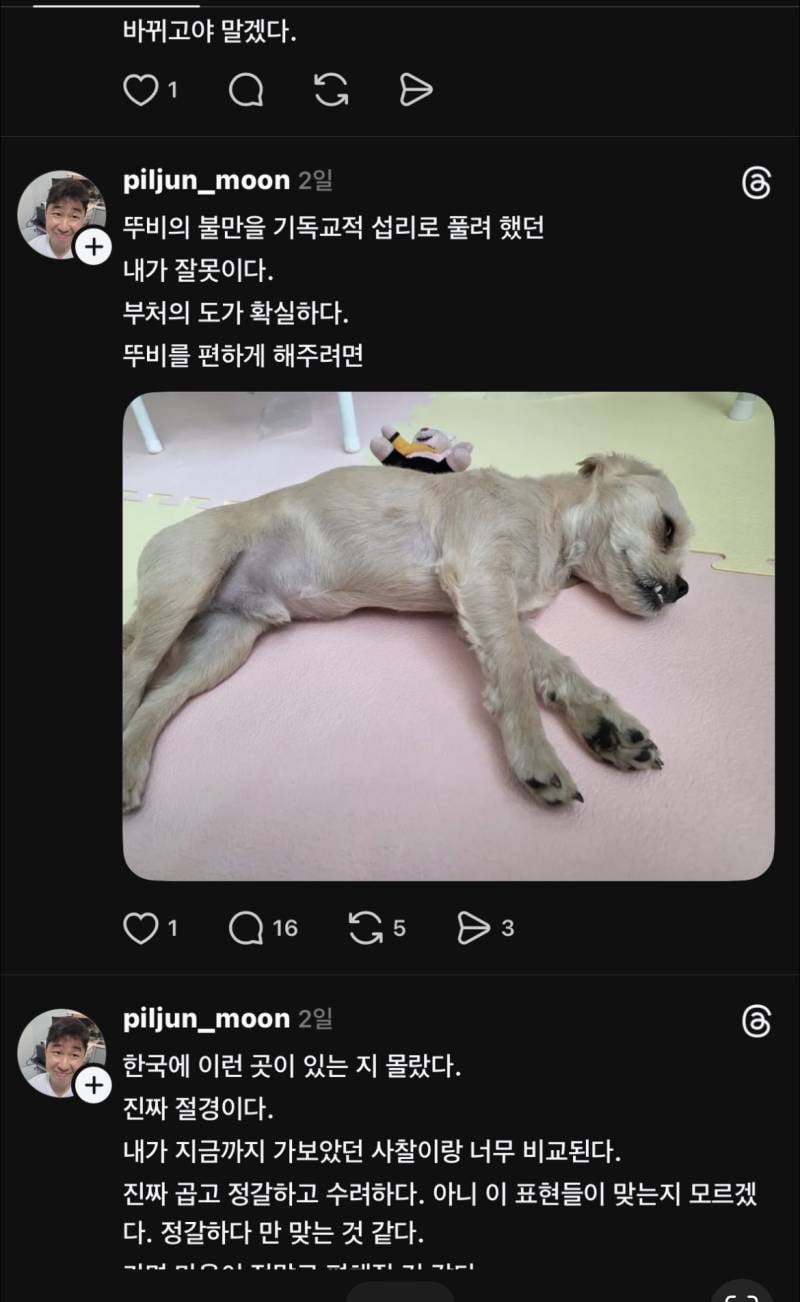 [잡담] 쓰레드 강아지 수간학대남 제발 퍼뜨려줘 | 인스티즈