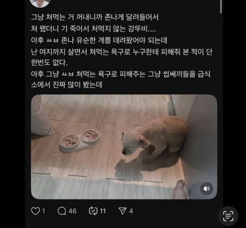 [잡담] 쓰레드 강아지 수간학대남 제발 퍼뜨려줘 | 인스티즈