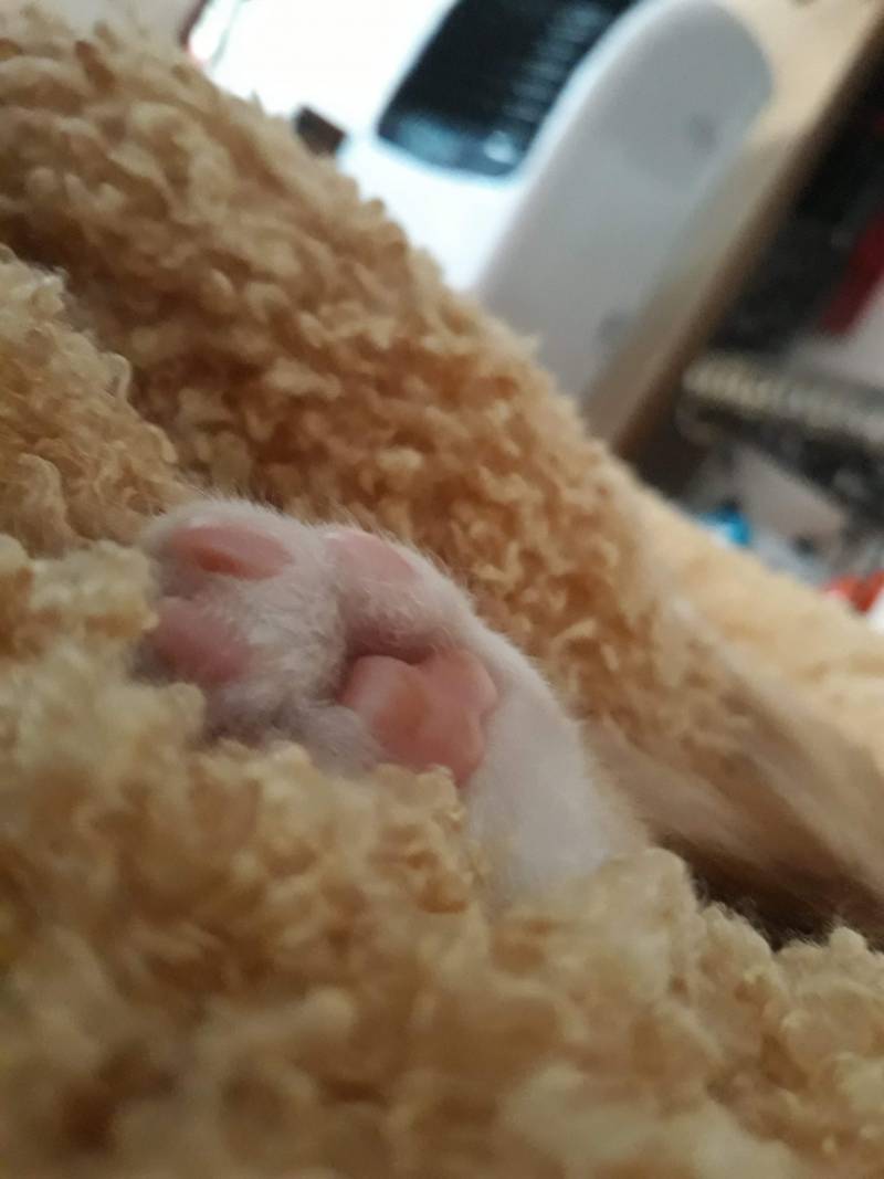 [잡담] 약속대로 고양이사진 20장 풀러왔어! | 인스티즈
