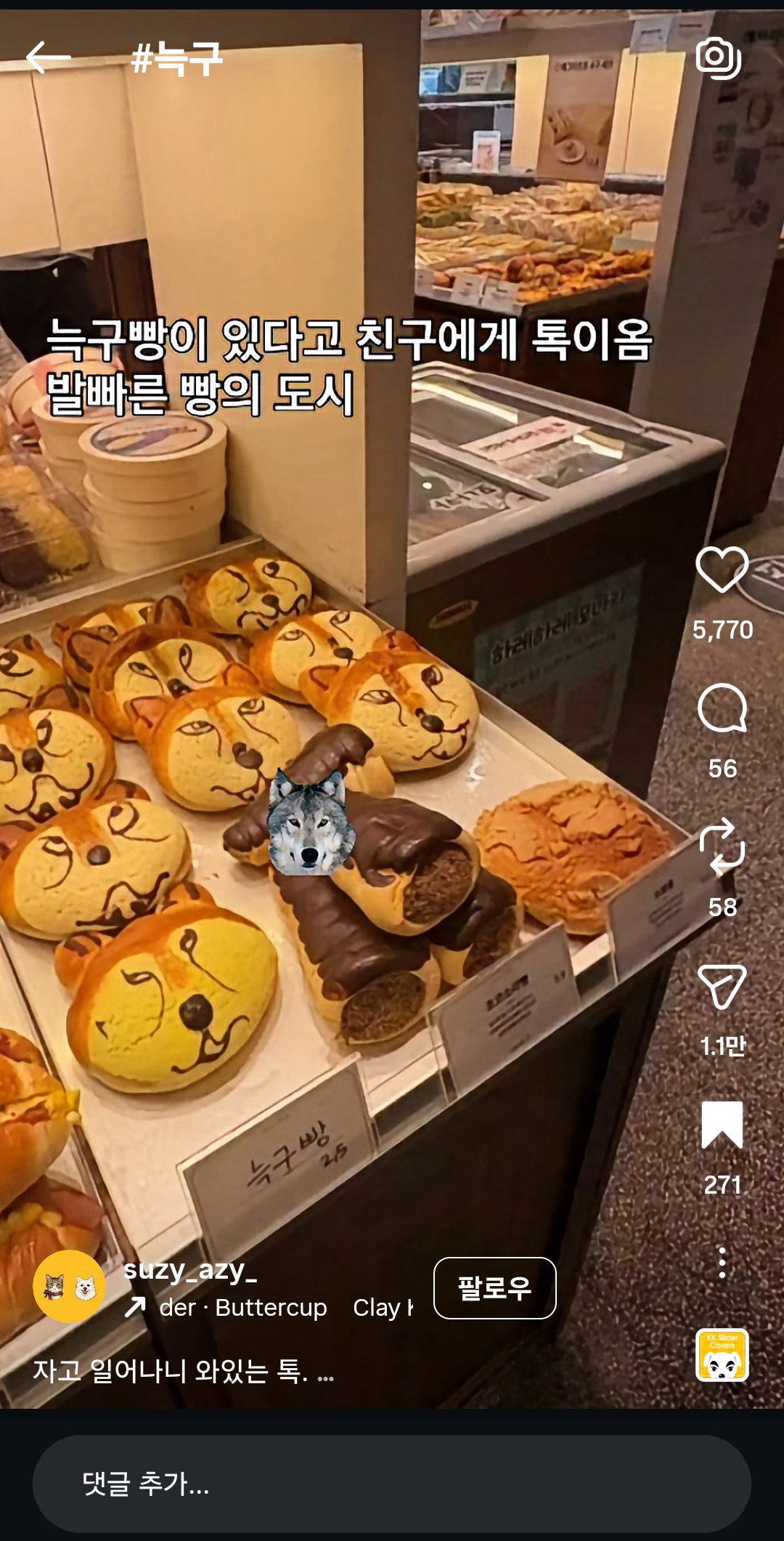 [잡담] 늑구빵 등장 | 인스티즈