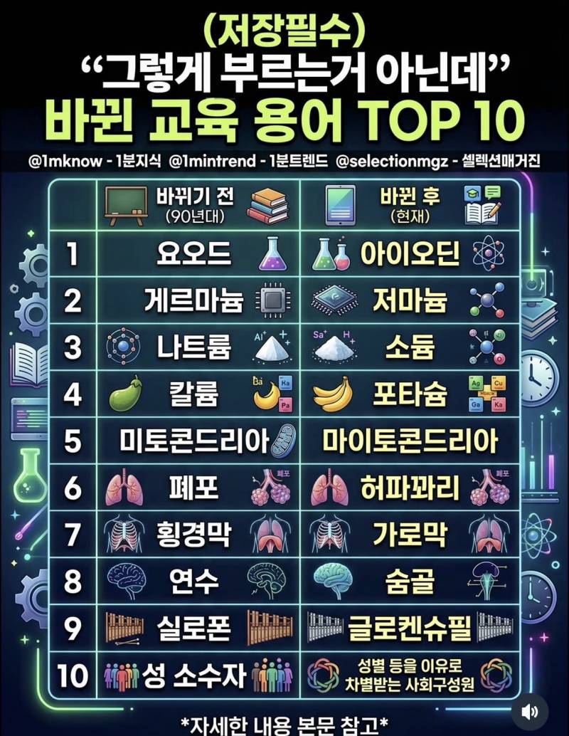 [잡담] 이래서 엄마아빠가 가끔 옛날말 썼구나 | 인스티즈