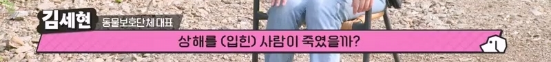 하염없이 짖어서 뇌졸중으로 쓰러진 주인 구한 개 상해 입자 보신탕 집에 넘긴 주인 | 인스티즈