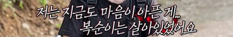 하염없이 짖어서 뇌졸중으로 쓰러진 주인 구한 개 상해 입자 보신탕 집에 넘긴 주인 | 인스티즈