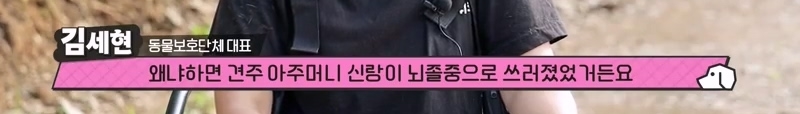 하염없이 짖어서 뇌졸중으로 쓰러진 주인 구한 개 상해 입자 보신탕 집에 넘긴 주인 | 인스티즈