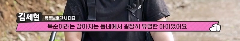 하염없이 짖어서 뇌졸중으로 쓰러진 주인 구한 개 상해 입자 보신탕 집에 넘긴 주인 | 인스티즈