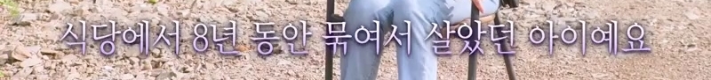 하염없이 짖어서 뇌졸중으로 쓰러진 주인 구한 개 상해 입자 보신탕 집에 넘긴 주인 | 인스티즈