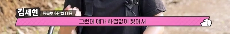 하염없이 짖어서 뇌졸중으로 쓰러진 주인 구한 개 상해 입자 보신탕 집에 넘긴 주인 | 인스티즈