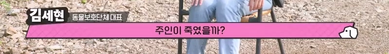 하염없이 짖어서 뇌졸중으로 쓰러진 주인 구한 개 상해 입자 보신탕 집에 넘긴 주인 | 인스티즈